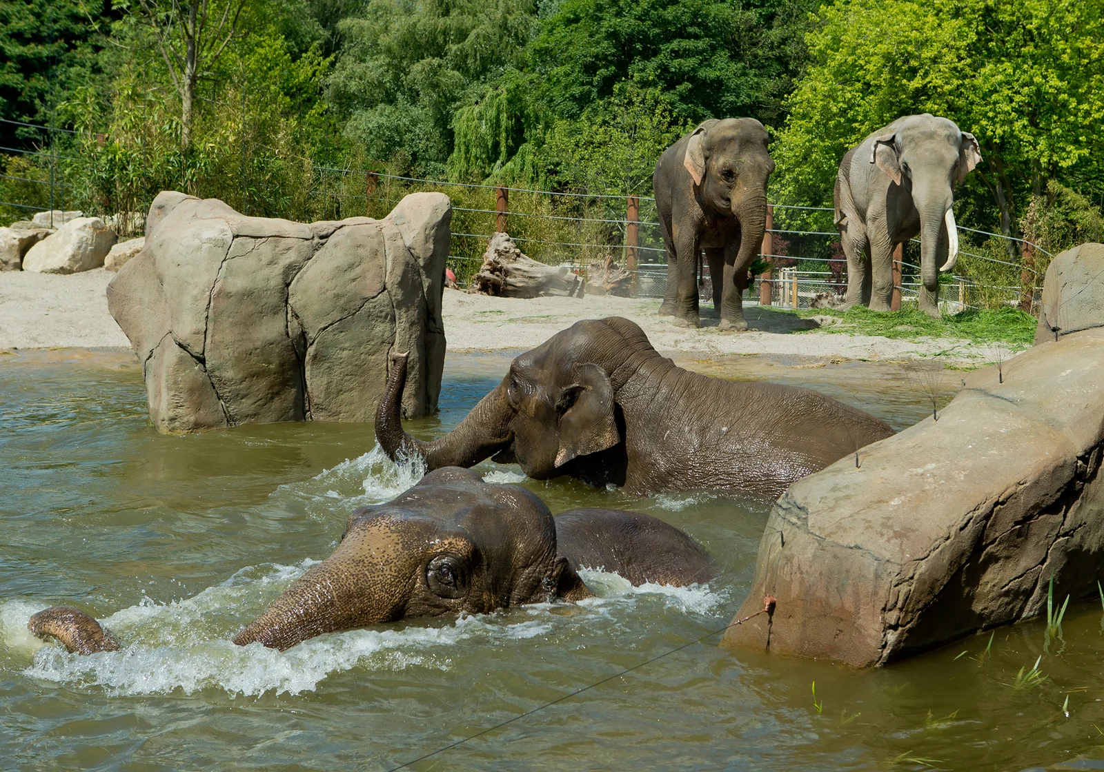 Allwetterzoo Muenster.jpg