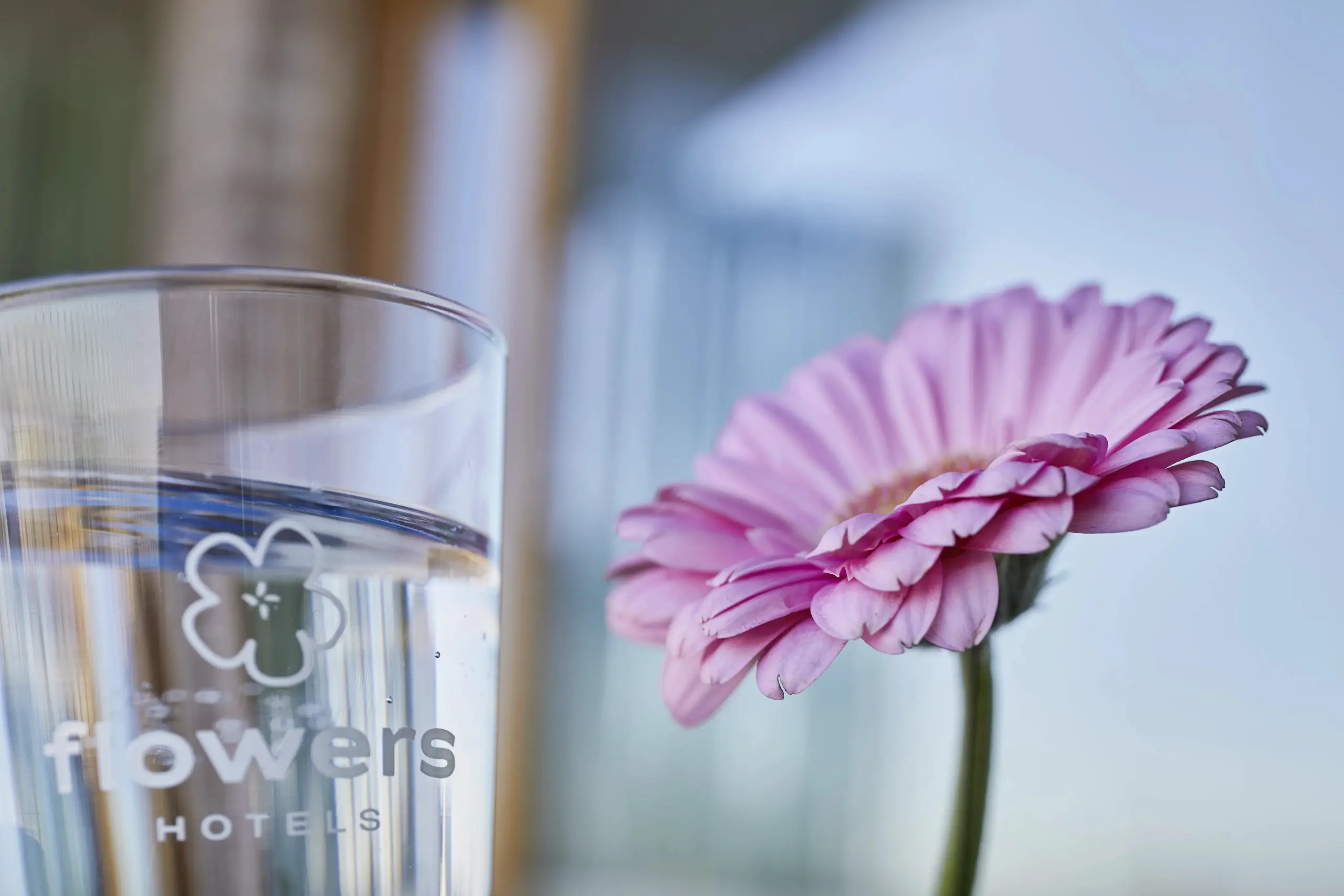 Flowers Hotels Essen Highlights 2